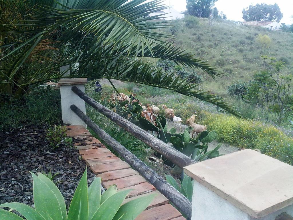 Attico Los Montes Viñuela Habitación foto